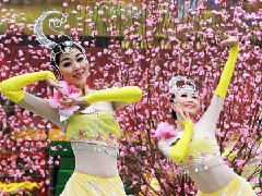 2010深圳妇女节活动专题