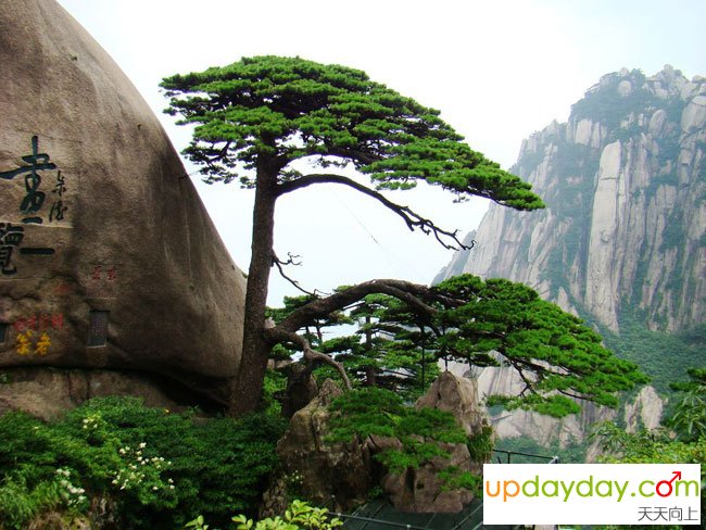 黄山自助游
