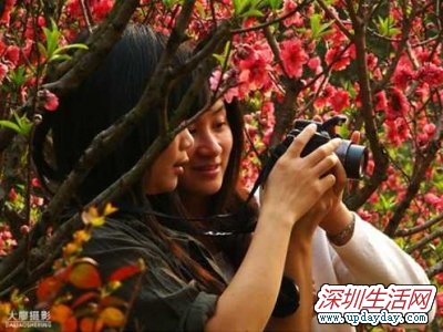 莲花山看桃花