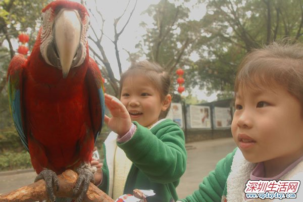 深圳野生动物园 爱鸟周