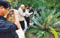 深圳引进410种珍稀濒危野生植物