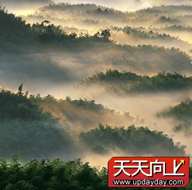 点击查看原图