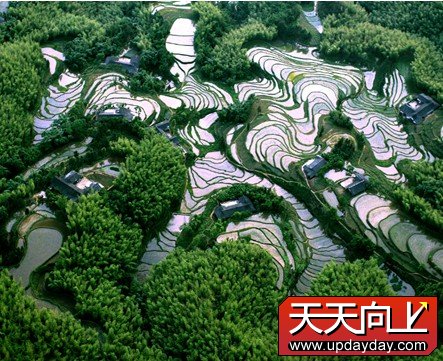 点击查看原图