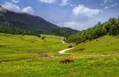 “以你之名，种草喜马拉雅” 2018自然堂喜马拉雅环保公益在行动
